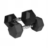 Gumuoti ketaus hanteliai HEX 2x10 kg REBEL ACTIVE