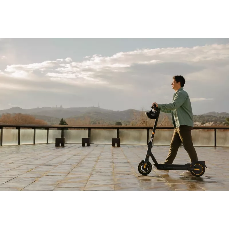 Klasikinis paspirtukas Ninebot by Segway KickScooter MAX G2 D