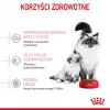 Sausas kačių maistas Royal Canin Mother & Babycat 2 kg — vištiena, nėščioms, žindančioms katėms ir kačiukams (jaunikliams)