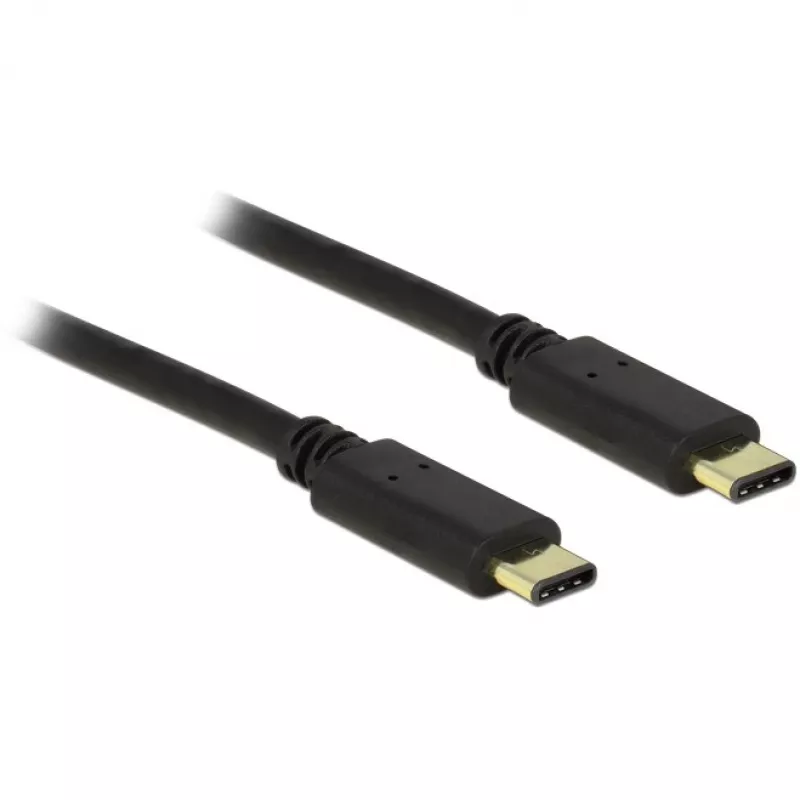 USB laidas DeLOCK 2m 2xUSB2.0-C