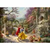 Schmidt Spiele 59625 blokinė dėlionė 1000 vnt. animaciniai filmukai