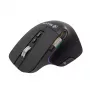 Belaidė pelė Tellur TLL491261 USB