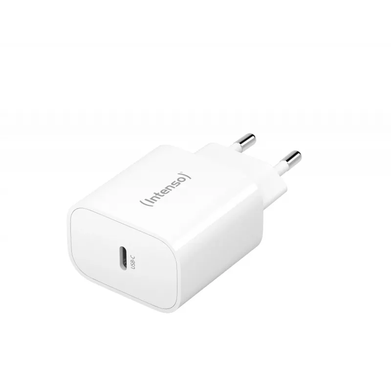 Kroviklis vidaus Intenso POWER ADAPTER USB-C/7802012