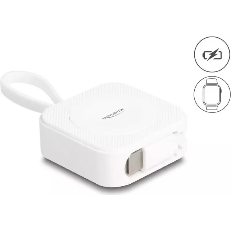 DeLOCK 83023 belaidis išmaniojo laikrodžio kroviklis, USB, vidaus, 5V