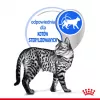 Šlapias kačių maistas Royal Canin Indoor Sterilized 85 g pakuotė — suaugusios patalpose laikomos sterilizuotos katės, paukštienos skonio, pakuotė 12 x 85 g