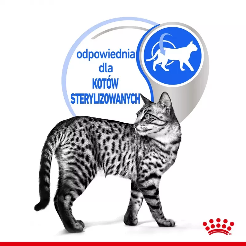 Šlapias kačių maistas Royal Canin Indoor Sterilized 85 g pakuotė — suaugusios patalpose laikomos sterilizuotos katės, paukštienos skonio, pakuotė 12 x 85 g