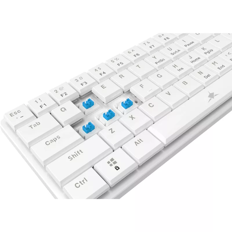 White Shark GK-006221 Nagamaki Balta-Mechanical-Mėlyna.SW