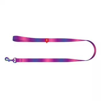 WAUDOG gradiento nailoninis šunų pavadėlis, 20 mm pločio, 122 cm ilgio, violetinis