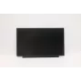 Nešiojamas kompiuteris Lenovo 13,3 col. HD TN su neatspindinčia danga 02HL701