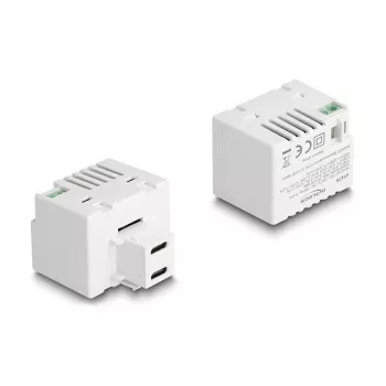 DeLOCK Keystone modulis 41479 2 x USB Type-C PD 20W baltas