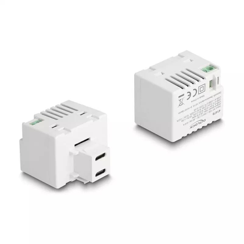 DeLOCK Keystone modulis 41479 2 x USB Type-C PD 20W baltas