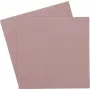 Thermal Grizzly Minus Pad 8 - 100 x 100 x 1.0 mm, 2 vnt.