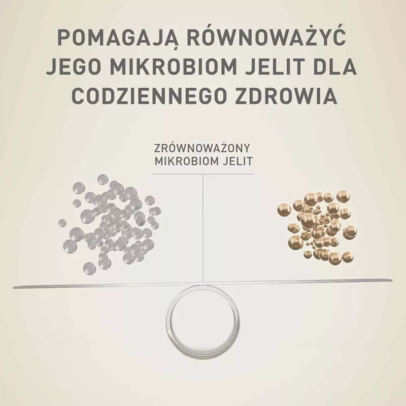 Sausas šunų maistas Purina Nestlé One Mini/Small Sensitive Salmon & Rice 800 g – mažoms veislėms (5–10 kg), senjorams, 27% baltymų, 17% riebalų