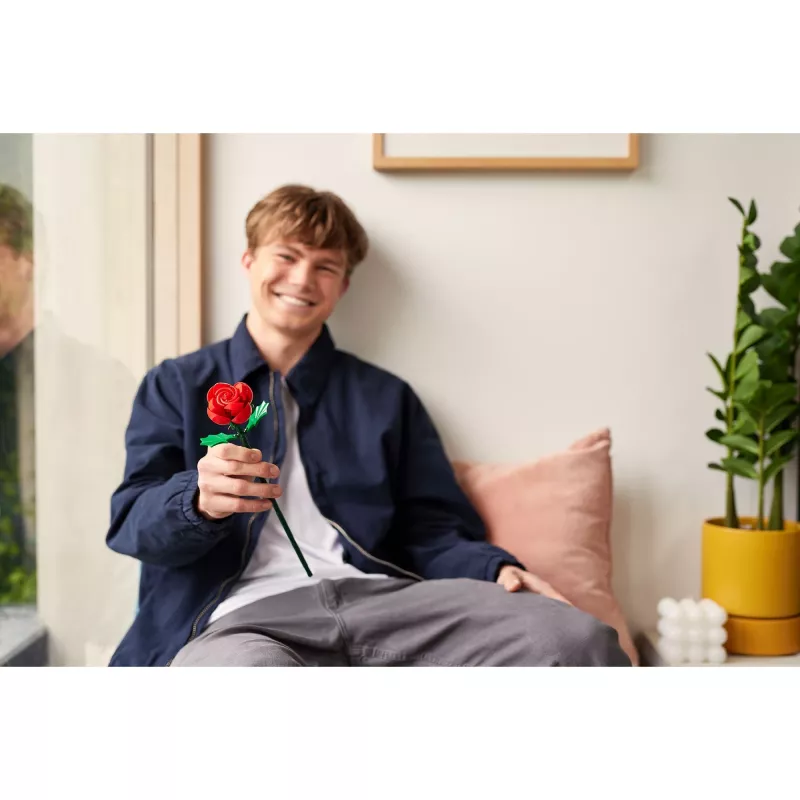 MAX Rose, konstrukcinis žaislas