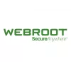 Webroot | DNS Protection with GSM Console | 1 metai | Licencijos kiekis 1-9 vnt.