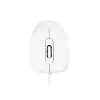 MODECOM M10 M-MC-0M10-200 Pelė (optinė, 1000 DPI, balta spalva) (M-MC-0M10-200)