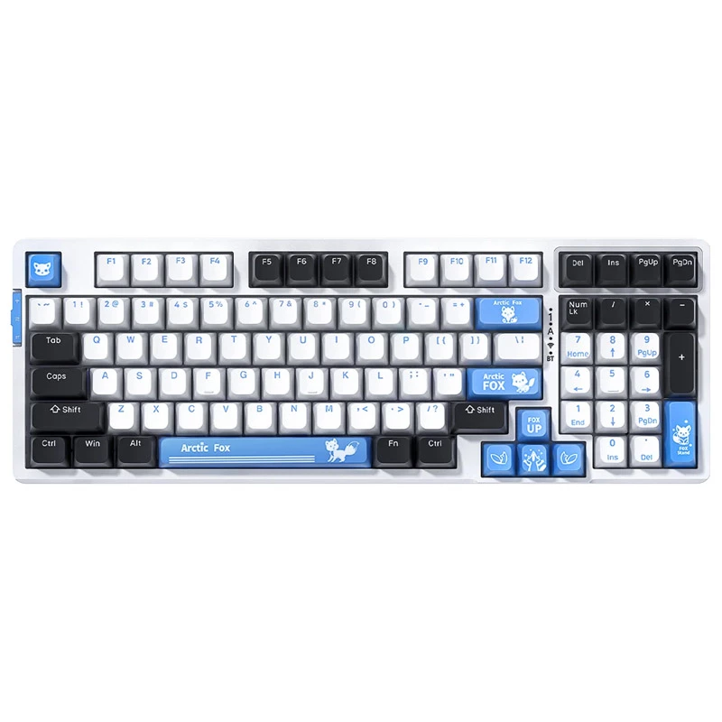 VGN V98 Pro Gaming klaviatūra, Arctic Fox – ribotas leidimas (US)