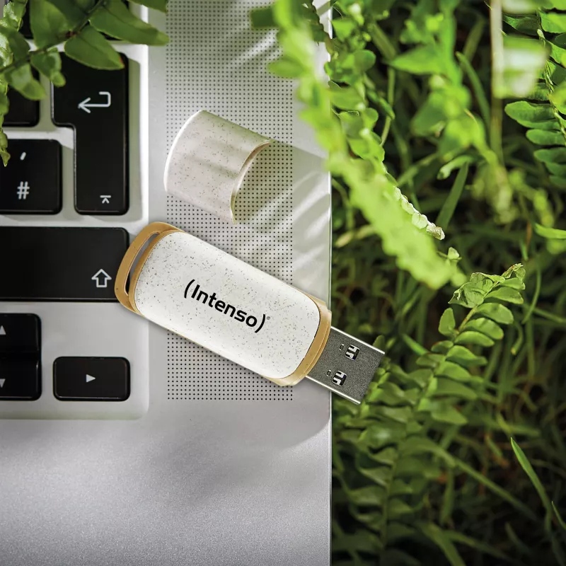 ATMINTIES DISKAS FLASH USB3.2/128GB 3540491 INTENSO
