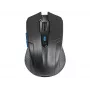 Tracer Fairy - optinė pelė - 6 mygtukai - belaidė - 2,4 GHz - belaidis USB imtuvas - juoda