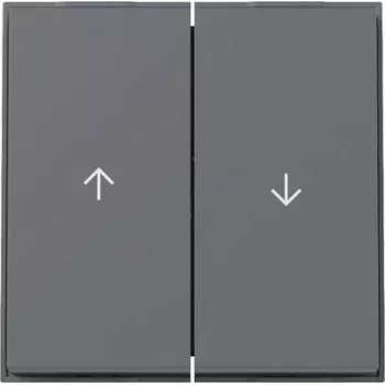GIRA rocker 329467 2f arrow TX44 WG UP anthracite (329467)