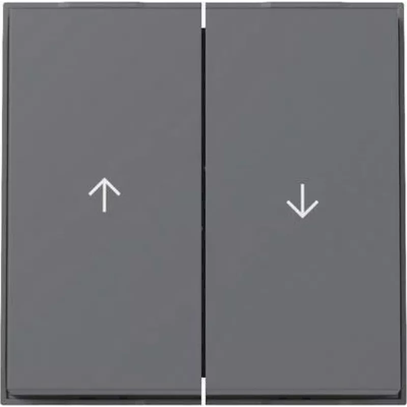GIRA rocker 329467 2f arrow TX44 WG UP anthracite (329467)