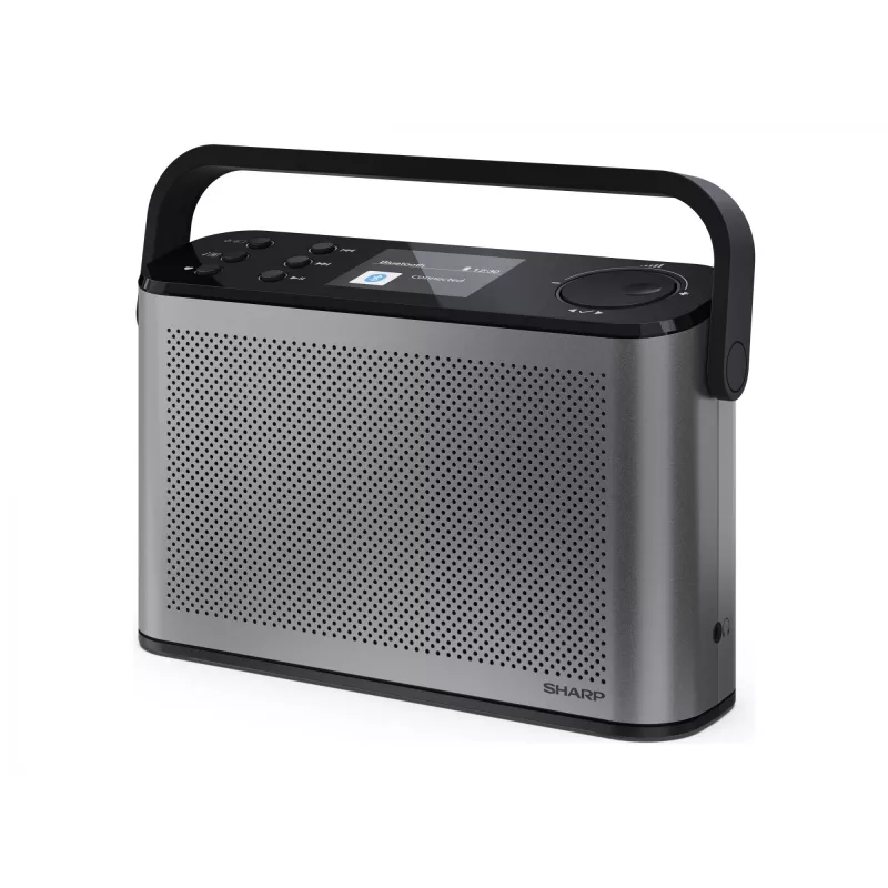 Stereo radijas Sharp OSAKA DR-P540(GY)