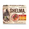 SHELMA su kalakutiena, antiena, vištiena ir jautiena padaže - drėgnas kačių ėdalas - 12x85g