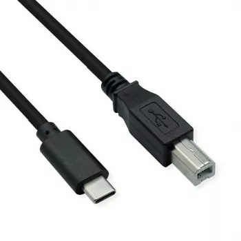 USB laidas USB 2.0 4,5 M USB C