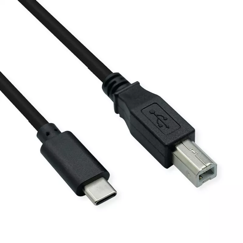 USB laidas USB 2.0 4,5 M USB C