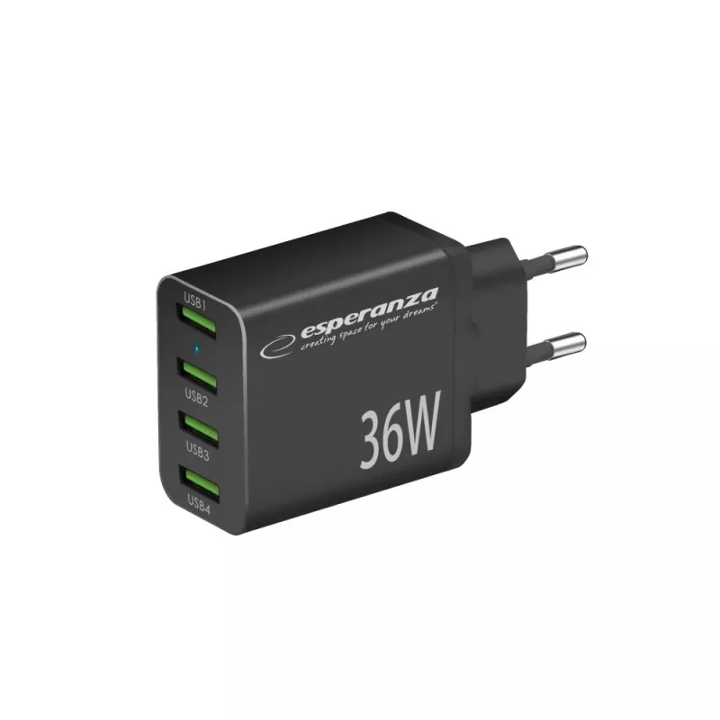 Esperanza EZC107K tinklo maitinimo adapteris 36W Juodas