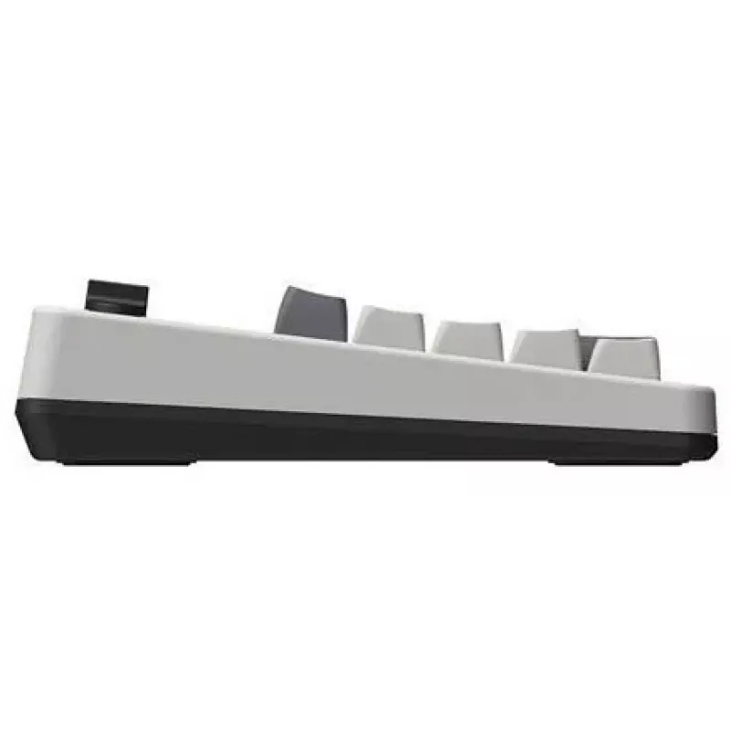 Mechaninis skaičių klaviatūros blokas 8BitDo Retro N Edition — suderinamas su Windows ir Android