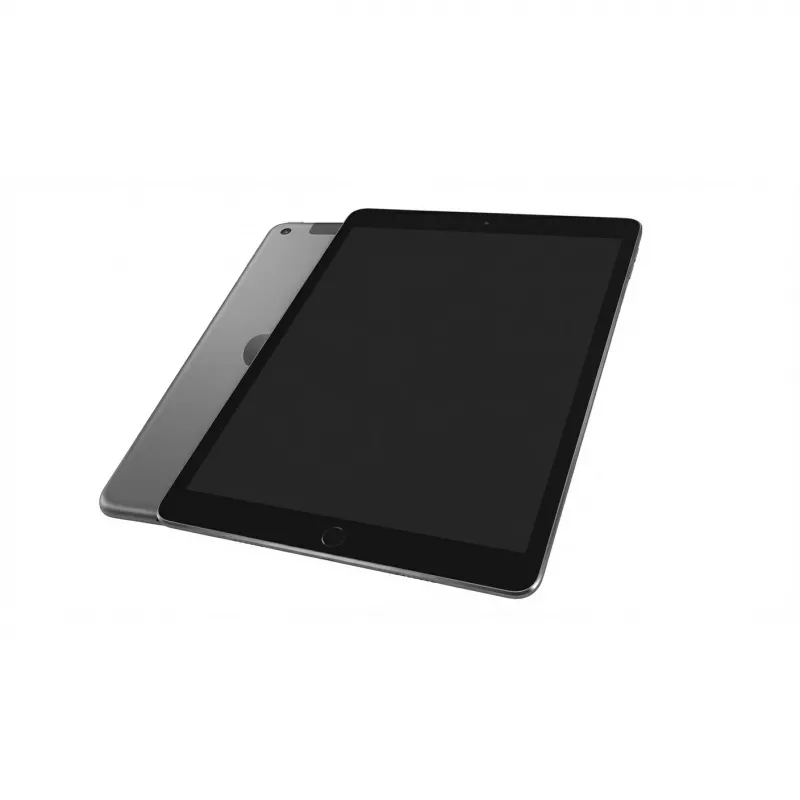 TAB APPLE IPAD 9TH GEN SPACEPilka WIFI+CE, A13-APPLE, 10.2, 2160X1620, WEBCAM, 3GB RAM, 64GB, IPAD OS, Grade A3