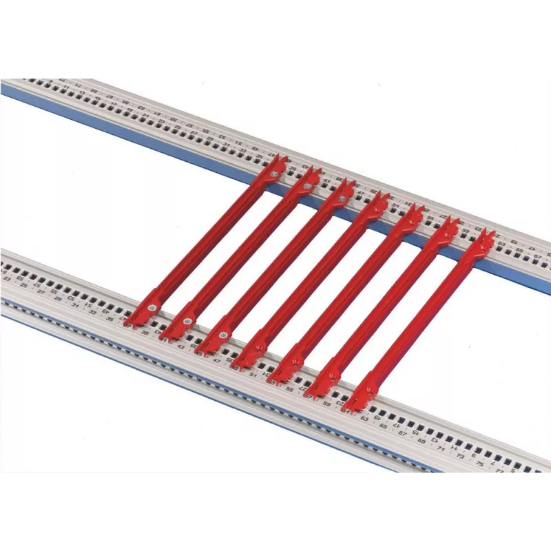 Schroff kreipiamoji juosta 4.4220D 10 vnt. (24560362)