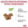 Sausas kačių maistas Royal Canin Kitten 2 kg — paukštienos (vištienos) formulė, baltymai 36%, riebalai 18%