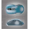 Belaidė pelė YENKEE YMS2010BE dviejų režimų ergonominė, 2,4 GHz USB imtuvas + Bluetooth 5.1, 4 lygių DPI 1000–3200, 6 mygtukai