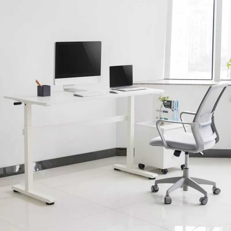 Rankinio aukščio reguliavimo stalas Ergo Office, maks. 40 kg, maks. aukštis 117 cm, su stalviršiu darbui stovint ir sėdint, ER-401 W