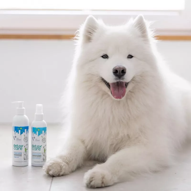 Kondicionierius VETEXPERT Clinic Care Balance 150 ml — veterinarinis kailio kondicionierius šunims ir katėms, 150 ml