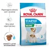 Sausas šunų maistas Royal Canin Starter Mother & Babydog 1 kg — vištienos, 30% baltymų, 22% riebalų