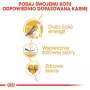 Sausas kačių maistas Royal Canin Sphynx Adult 2 kg — kiaulienos skonio, 33% baltymų, 23% riebalų