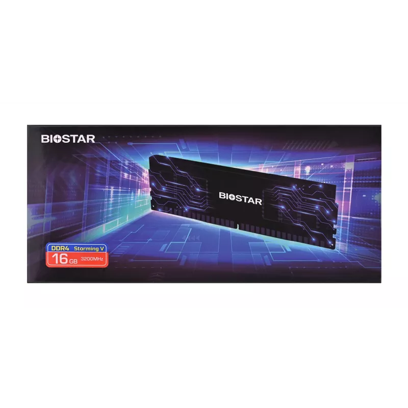 Stalinio kompiuterio DDR4 RAM BIOSTAR 16 GB 3200 MHz su radiatoriumi (modelis DO32NU4H16)