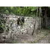 Vandens žarna Karcher Plus 1/2- 50M