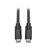 USB-C laidas Tripp Lite U420-010 10 pėdų USB 3.2 Gen 1 5 Gbps