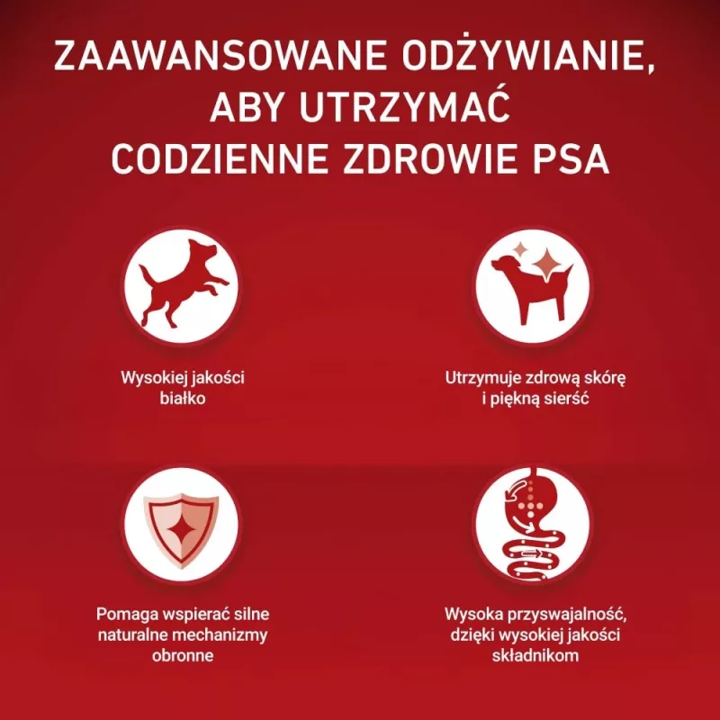 PURINA ONE MINI šunų jautriai virškinimo sistemai Lašiša ir ryžiai 1,5 kg