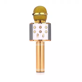 Mikrofonas MANTA MIC10-G Auksinis kardioidinis nešiojamasis – kardioidinis kondensatorinis, rankinis dizainas