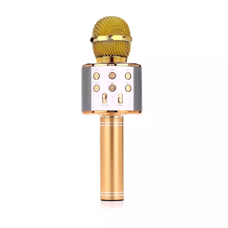 Mikrofonas MANTA MIC10-G Auksinis kardioidinis nešiojamasis – kardioidinis kondensatorinis, rankinis dizainas