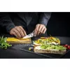 Zwilling TANREI 10 cm smeigimo ir dekoravimo peilis
