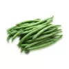 Nomad Green žemaūgių pupelių sėklos, 50g – daržovių sėklos