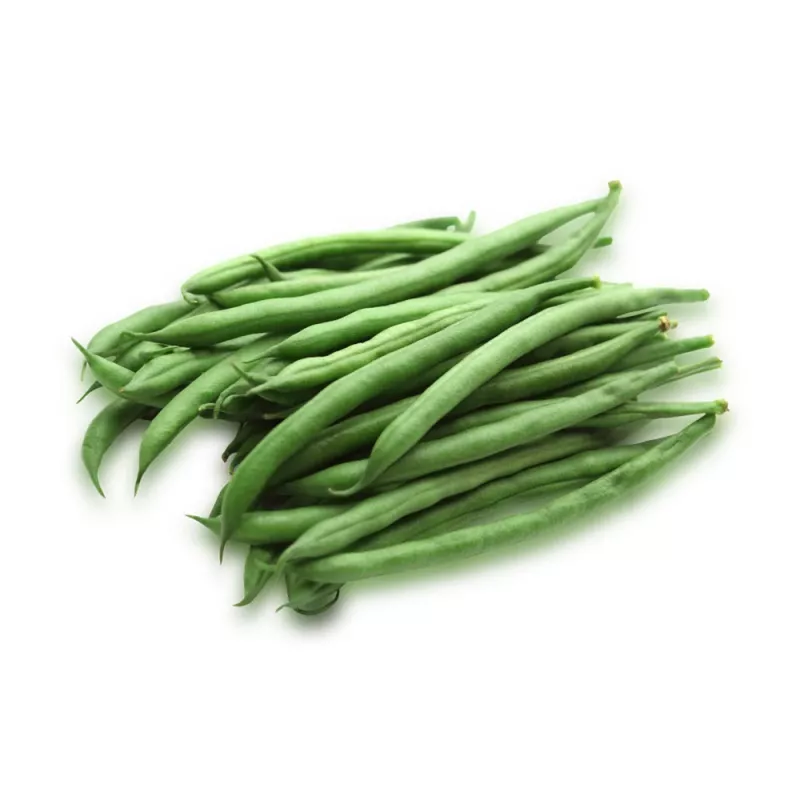 Nomad Green žemaūgių pupelių sėklos, 50g – daržovių sėklos