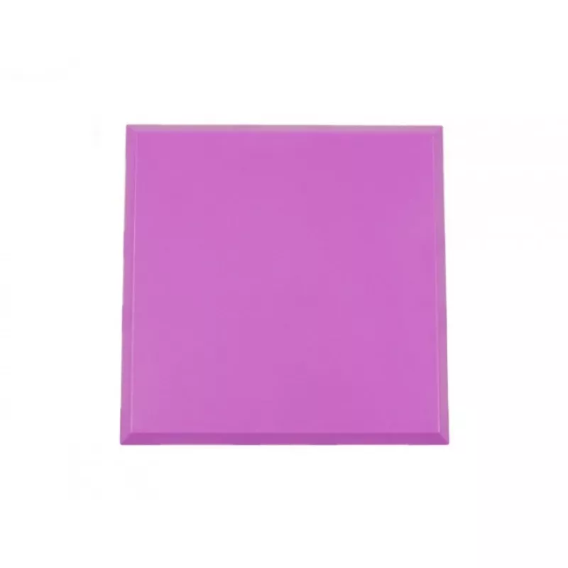 ALLNET Brick'R'knowledge plastikinis korpusas 2x2 violetinis viršus ir apačia, 10 vnt. pakuotėje