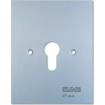 Metalinė dengiamoji plokštelė 125x100 mm be simbolių 6.28 WUG (6.28WUG)